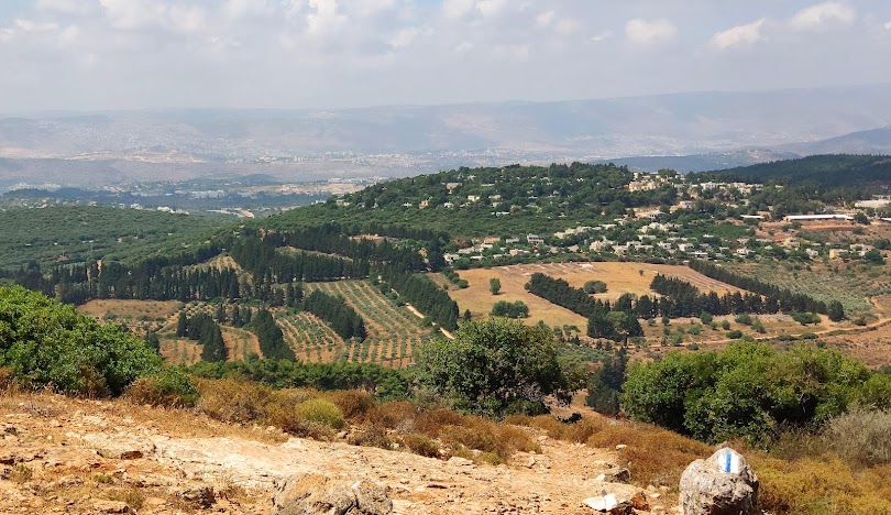 قرية شعب المهجرة  / عكا